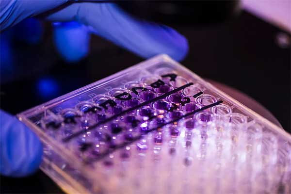 The Anti-Aging Effects of Rapamycin on Humans