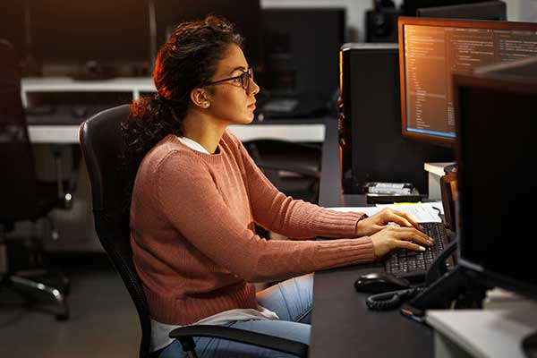 Pivot to High Tech With MS in Information Systems-Bridge
